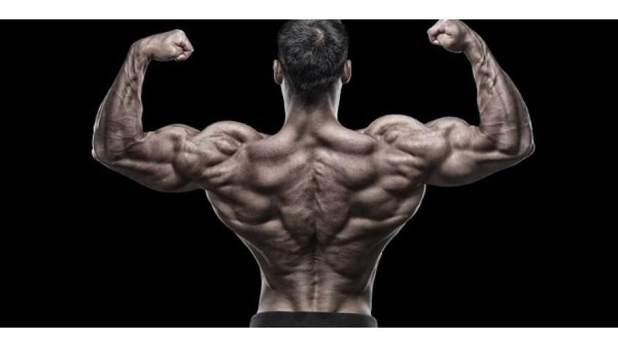Hur man pumpar ryggen - träna dina ryggmuskler